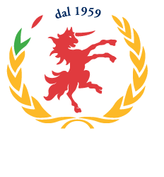 GELATINA GLASSA ARGENTO  ELENKA
