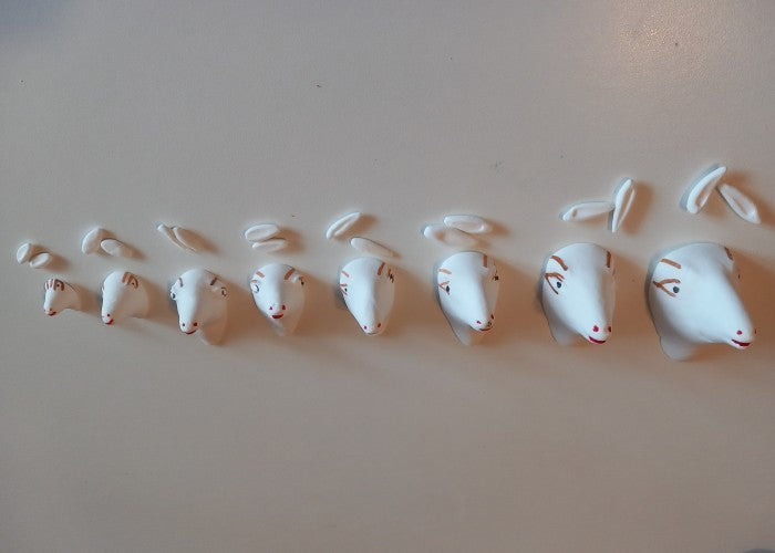 TESTE DI AGNELLO PER DECORAZIONI PASQUALI