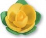 ROSELLINE PICCOLE PZ 200 FLOREAL