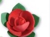 ROSELLINE GRANDI PZ 100 FLOREAL