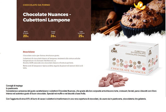 CUBETTI BIANCHI AL LAMPONE (CHUNKS) KG.4 ICAM